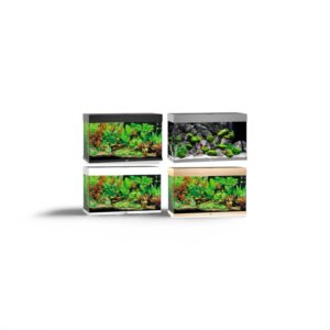 Juwel Rio 125 LED Aquarium