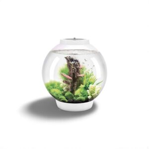 Biorb Classic 30 MCR