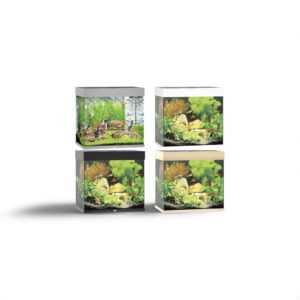 Juwel Lido 120 LED Aquarium