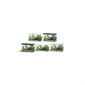 Aquatlantis Splendid Ultra |100 Aquarium