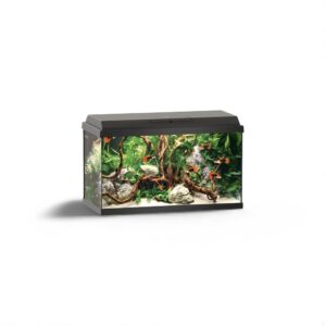 Juwel  Primo  60 LED Aquarium