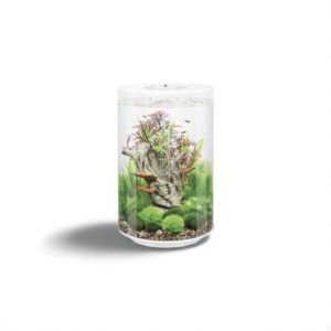Biorb Tube 30 MCR