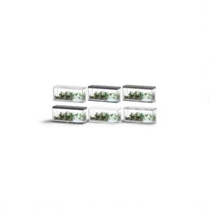 Aquatlantis Sublime 150 x 50 Aquarium