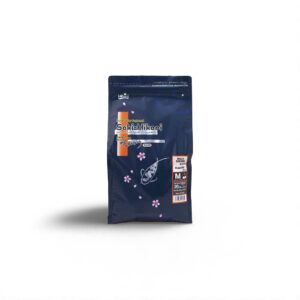 Saki Hikari Multi Season