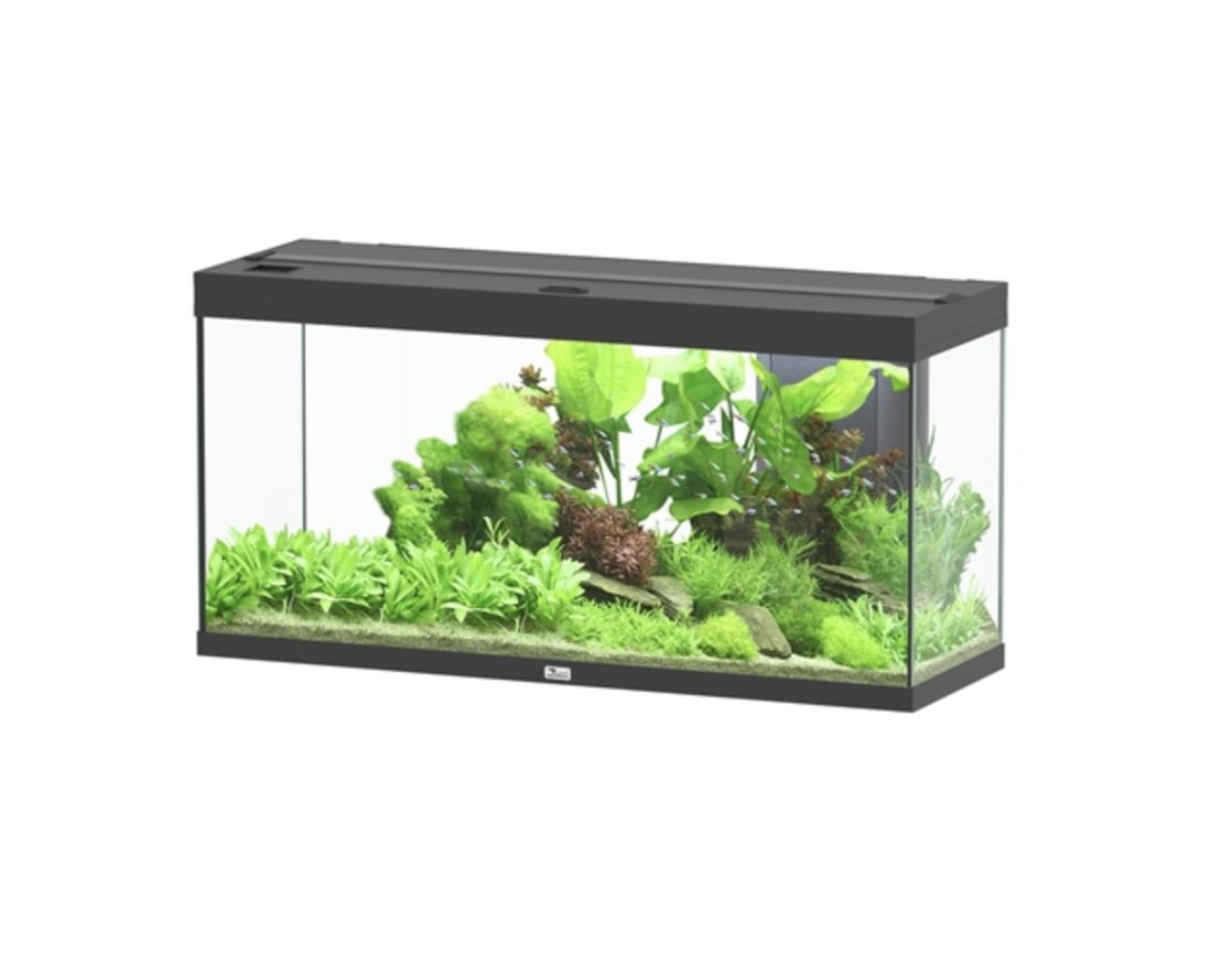 Aquatlantis Splendid 120 Aquarium - zwart