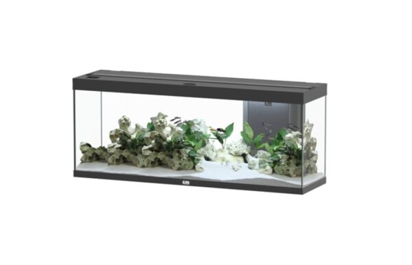 Aquatlantis Splendid 150 Aquarium - zwart