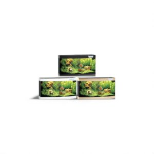 Juwel  Vision 260 LED Aquarium