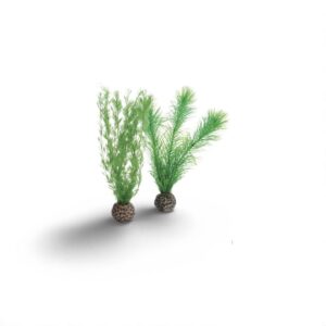 Biorb Mannetjesvaren Set Groen