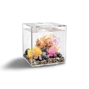 Biorb Cube 30 MCR
