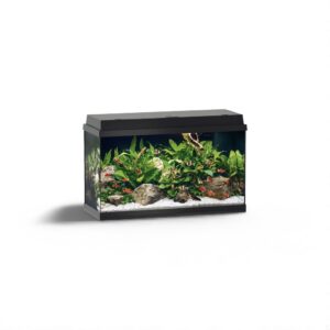 Juwel  Primo 110 LED Aquarium