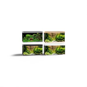 Juwel Rio 350 LED Aquarium