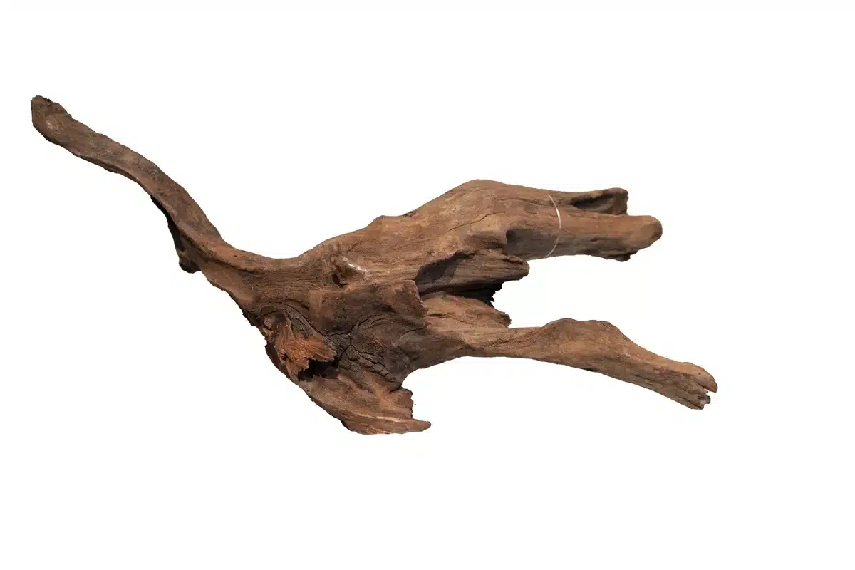 Mangrove Aged Wood Diesters Aquarium en Vijver Center