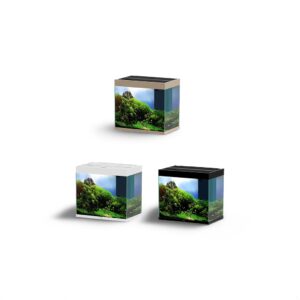 Ciano Emotions Nature 60 Aquarium