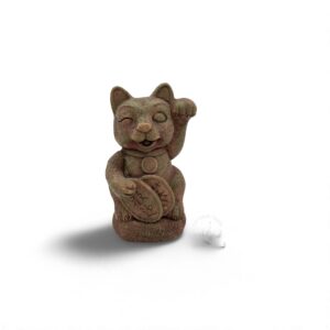 Superfish fortune cat